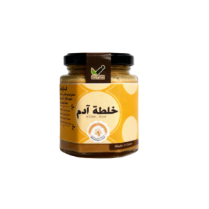 %d8%ae%d9%84%d8%b7%d8%a9-%d8%a3%d8%af%d9%85